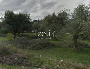 Αγροτεμάχια 2.200 τ.μ. για πώληση