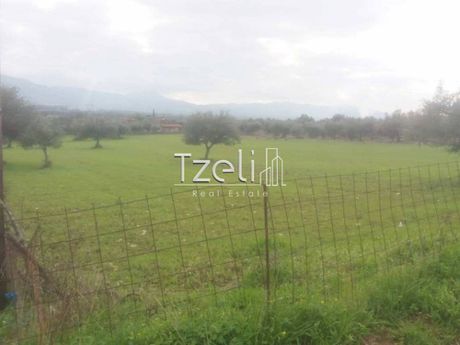 Οικόπεδο 7.453τ.μ. για πώληση-Φαρές » Αγριλιά
