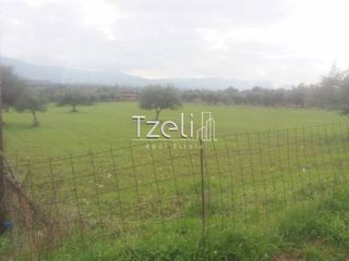 Οικόπεδο 7.453 τ.μ. για πώληση