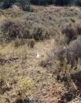 Οικόπεδο 487τ.μ. για πώληση-Ελληνικό » Άνω ελληνικό
