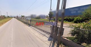 Άλλο 2.000 τ.μ. για ενοικίαση