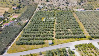 Οικόπεδο 9.166 τ.μ. για πώληση, Αργολίδα, Ερμιόνη-thumb-22