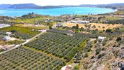 Οικόπεδο 9.166τ.μ. για πώληση-Ερμιόνη