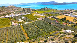 Οικόπεδο 9.166 τ.μ. για πώληση, Αργολίδα, Ερμιόνη-thumb-3