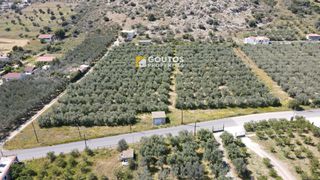 Οικόπεδο 9.166 τ.μ. για πώληση, Αργολίδα, Ερμιόνη-thumb-2