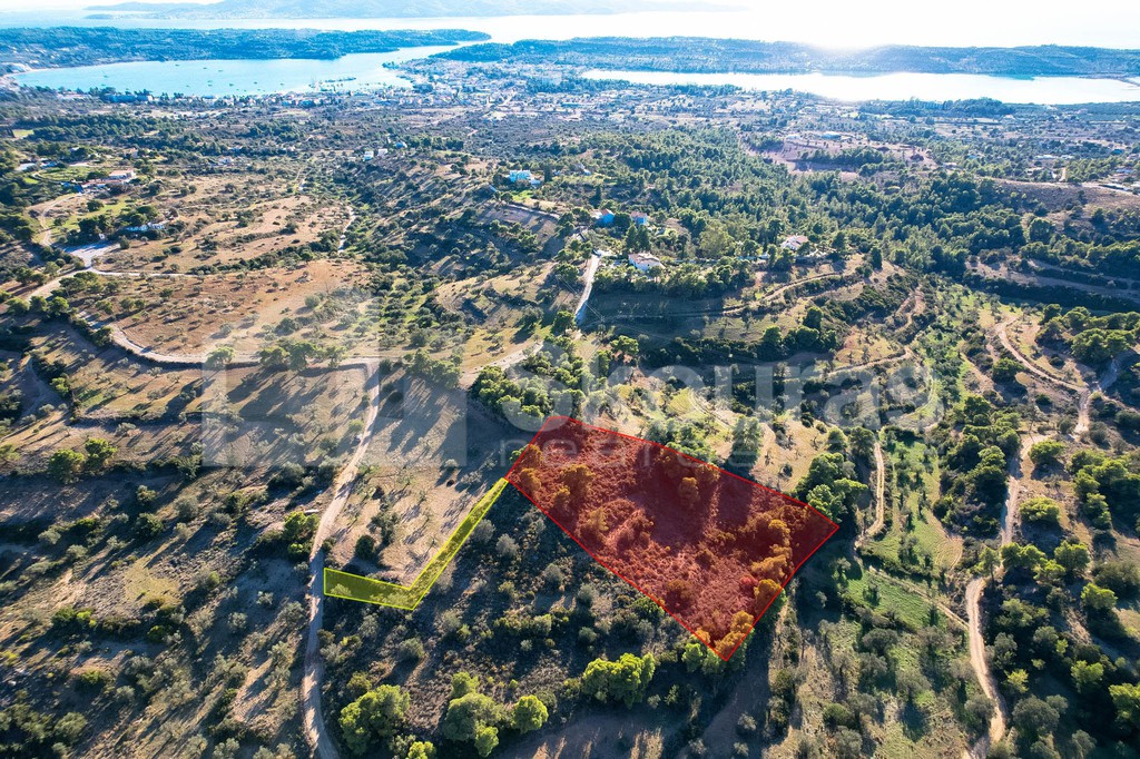 Αγροτεμάχια 4.000 τ.μ. προς πώληση, Πορτοχέλι