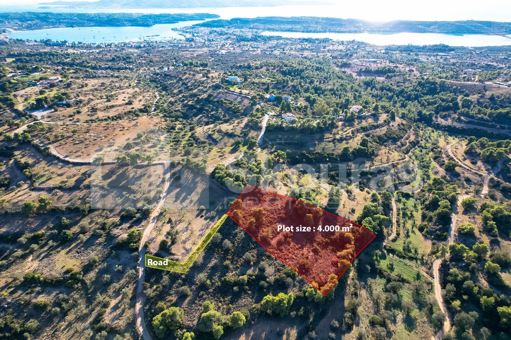 Αγροτεμάχια 4.000 τ.μ. προς πώληση, Πορτοχέλι