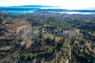 Αγροτεμάχια 4.000 τ.μ. προς πώληση, Πορτοχέλι-thumb-16