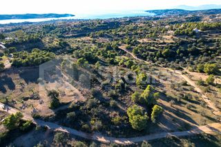 Αγροτεμάχια 4.000 τ.μ. προς πώληση, Πορτοχέλι-thumb-18