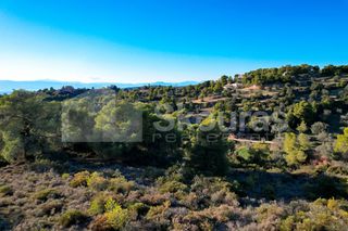 Αγροτεμάχια 4.000 τ.μ. προς πώληση, Πορτοχέλι-thumb-9