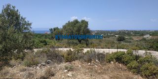 Οικόπεδο 5.800 τ.μ. προς πώληση, Χωραφάκια-thumb-1