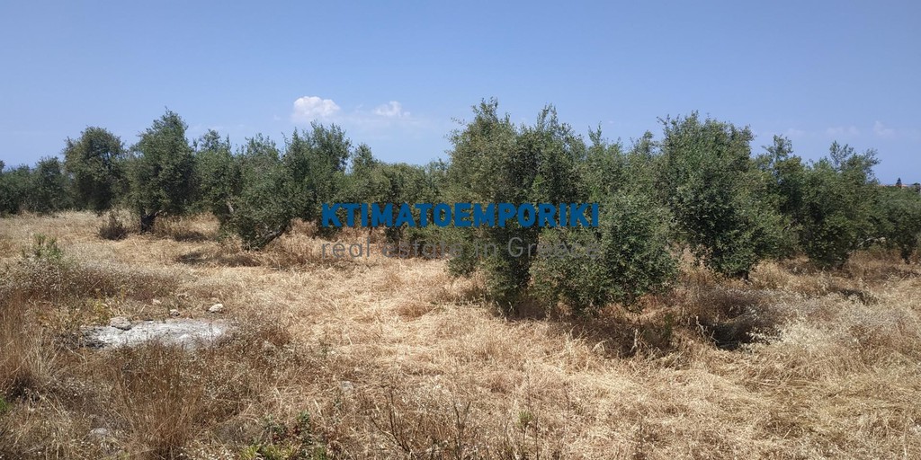 Οικόπεδο 5.800 τ.μ. πρός πώληση, Ν. Χανίων, Ακρωτήρι