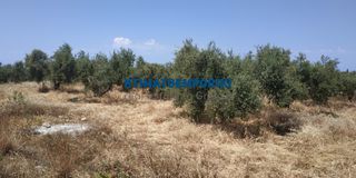 Οικόπεδο 5.800 τ.μ. προς πώληση, Χωραφάκια-thumb-4