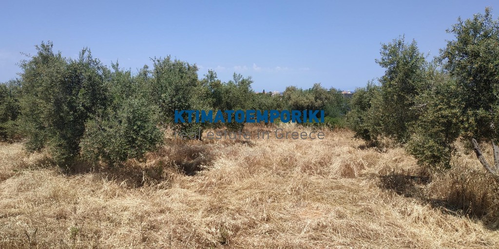 Οικόπεδο 5.800 τ.μ. πρός πώληση, Ν. Χανίων, Ακρωτήρι