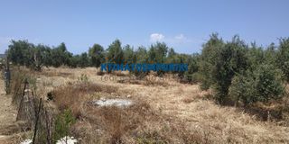 Οικόπεδο 5.800 τ.μ. προς πώληση, Χωραφάκια-thumb-5