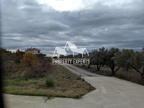 Parcel 2.000sqm for sale-Alexandroupoli » Nea Chili