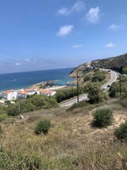 Οικόπεδο 12.000 τ.μ. για πώληση, Ν. Ρεθύμνου, Αρκάδι-thumb-3