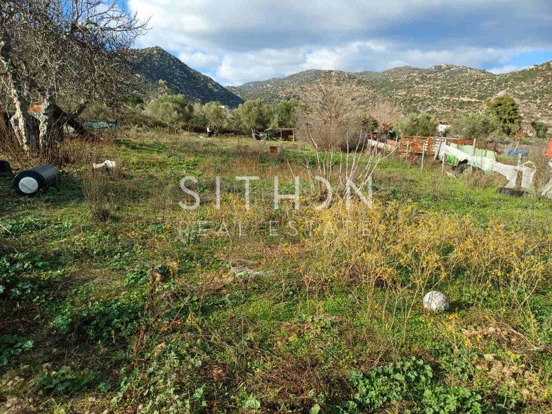 Αγροτεμάχια 612 τ.μ. προς πώληση, Συκιά Τορώνης