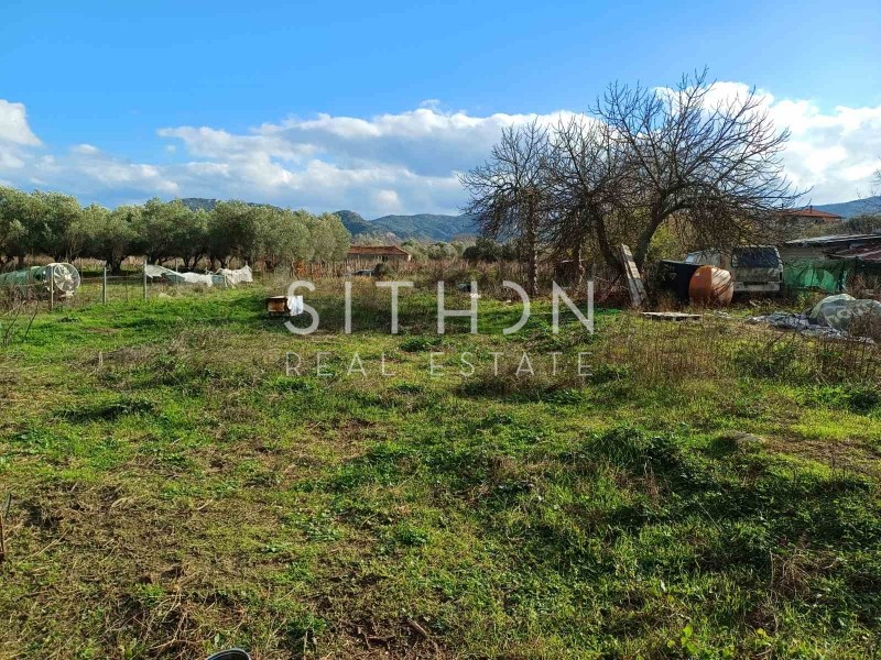 Αγροτεμάχια 612 τ.μ. προς πώληση, Συκιά Τορώνης