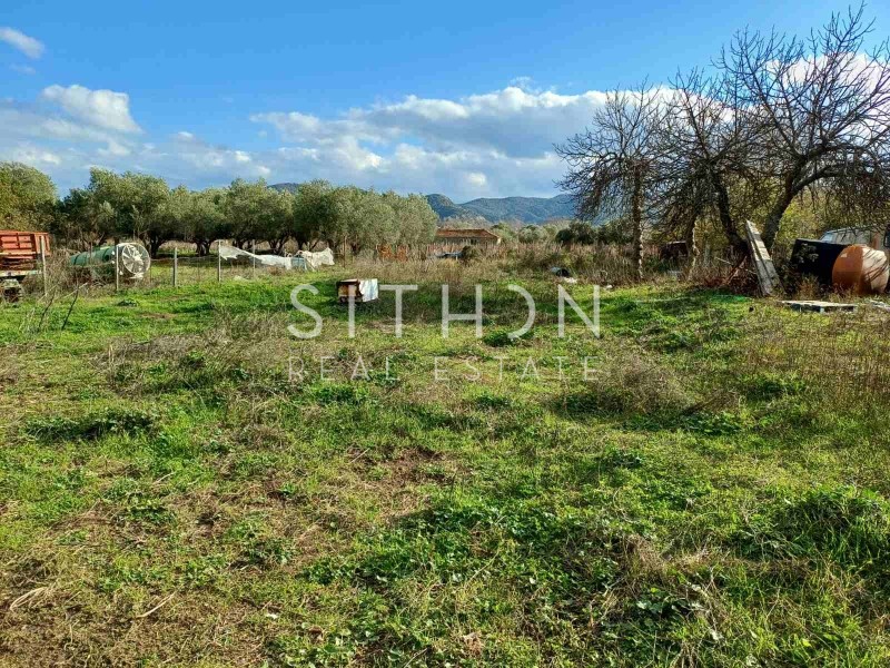 Αγροτεμάχια 612 τ.μ. προς πώληση, Συκιά Τορώνης