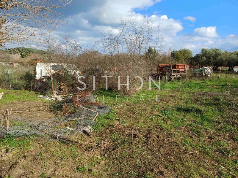 Αγροτεμάχια 612 τ.μ. προς πώληση, Συκιά Τορώνης