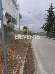 Αγροτεμάχια 5.300 τ.μ. για πώληση, Αττική - Υπόλοιπο, Πολυδένδρι-thumb-1