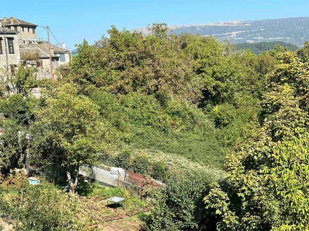 Οικόπεδο 1.300 τ.μ. προς πώληση, Ελάτη Κεντρικού Ζαγορίου