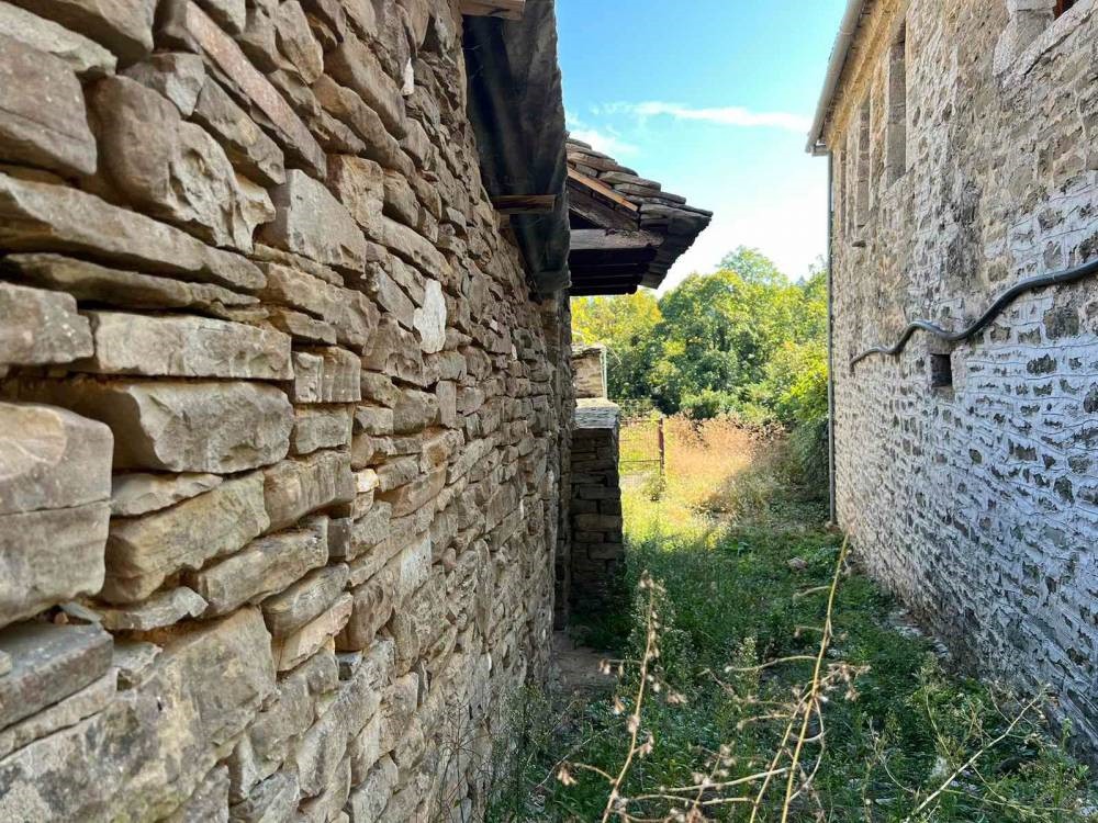 Οικόπεδο 1.300 τ.μ. προς πώληση, Ελάτη Κεντρικού Ζαγορίου
