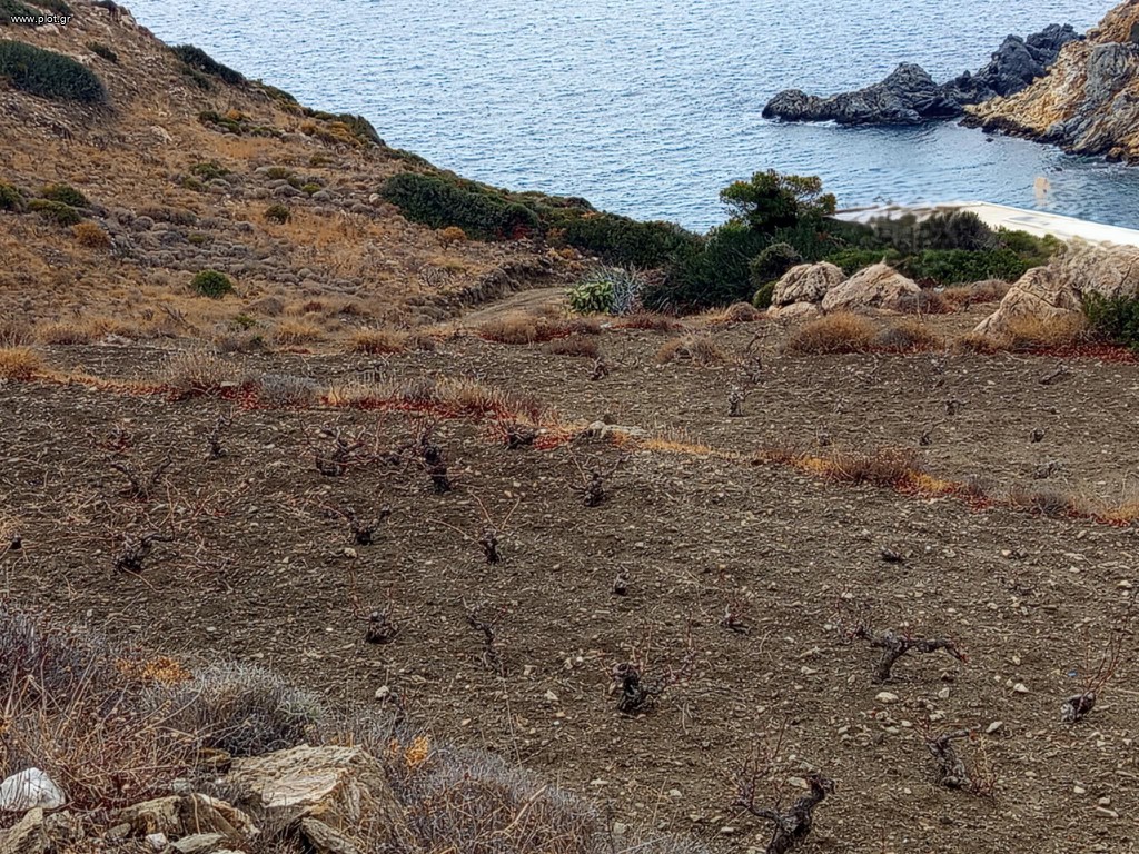 Αγροτεμάχια 11.686 τ.μ. πρός πώληση, Κυκλάδες, Νάξος - Δρυμαλία