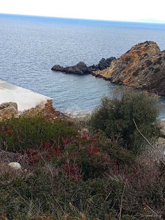 Αγροτεμάχια 11.686 τ.μ. πρός πώληση, Κυκλάδες, Νάξος - Δρυμαλία