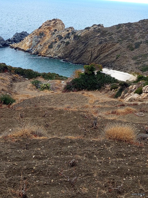 Αγροτεμάχια 11.686 τ.μ. πρός πώληση, Κυκλάδες, Νάξος - Δρυμαλία