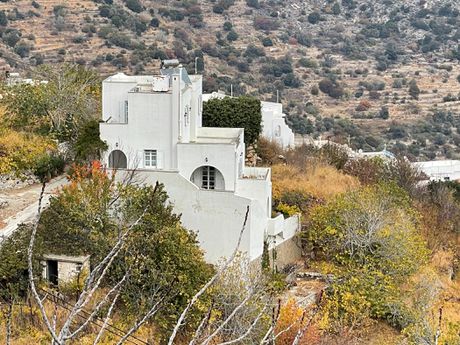 Μονοκατοικία 174τ.μ. για πώληση-Νάξος - δρυμαλία » Κόρωνος
