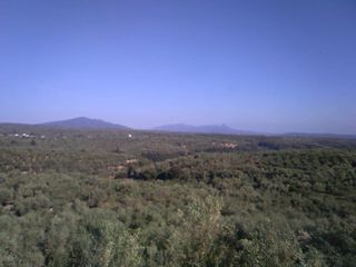 Κτίριο 200 τ.μ. προς πώληση, Αμπελόφυτο-thumb-12