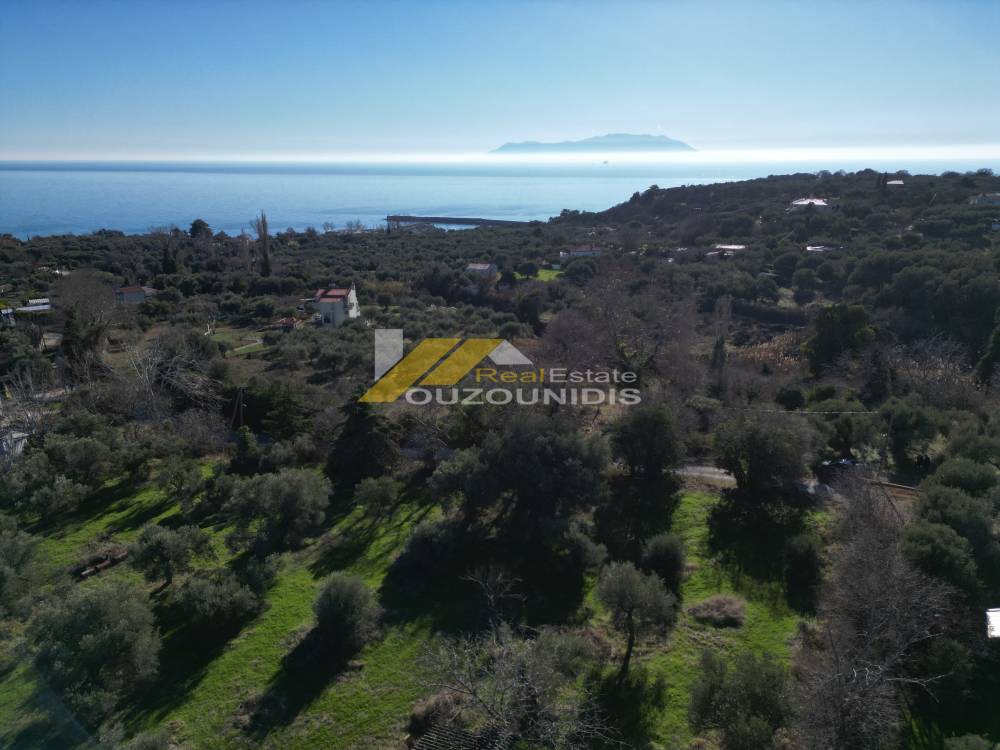 Αγροτεμάχια 7.300 τ.μ. προς πώληση, Μάκρη Αλεξανδρούπολης