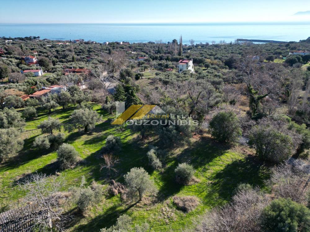 Αγροτεμάχια 7.300 τ.μ. προς πώληση, Μάκρη Αλεξανδρούπολης