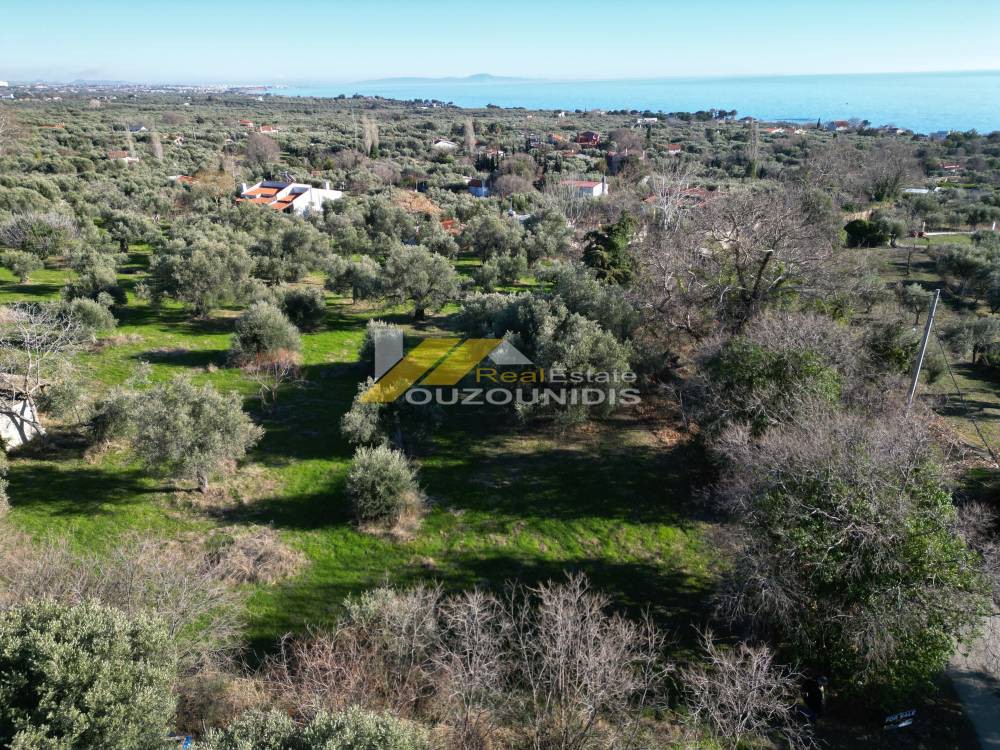 Αγροτεμάχια 7.300 τ.μ. προς πώληση, Μάκρη Αλεξανδρούπολης