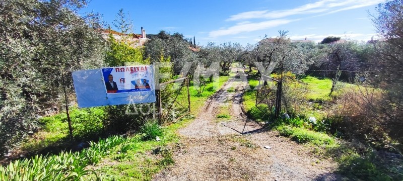 Οικόπεδο 1.830 τ.μ. προς πώληση, Βελανιδιά Νέας Αγχιάλου
