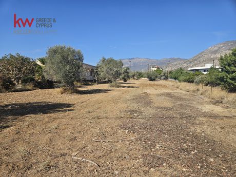 Οικόπεδο 2.152τ.μ. για πώληση-Μέγαρα