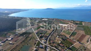 Μονοκατοικία 101 τ.μ. προς πώληση, Κάντια-thumb-16