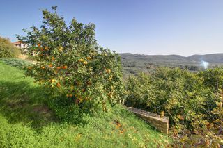Βίλλα 156 τ.μ. για πώληση, Ν. Χανίων, Κολυμβάρι-thumb-55
