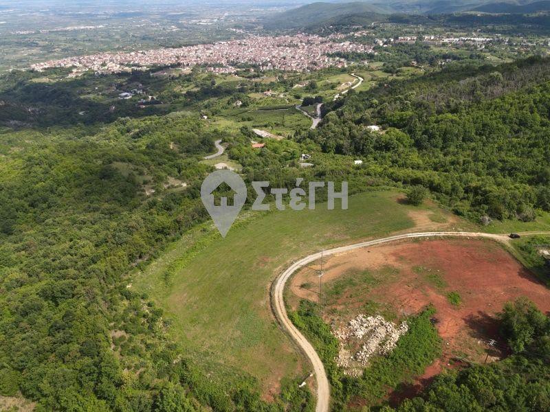 Αγροτεμάχια 9.500 τ.μ. πρός πώληση, Ημαθία, Νάουσα