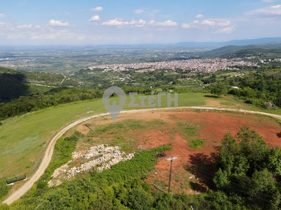 Αγροτεμάχια 9.500 τ.μ. για πώληση, Ημαθία, Νάουσα