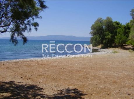 Οικόπεδο 600τ.μ. για πώληση-Ταμύνες » Ακτή νηρέως