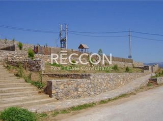 Οικόπεδο 600 τ.μ. για πώληση, Εύβοια, Ταμύνες-thumb-6