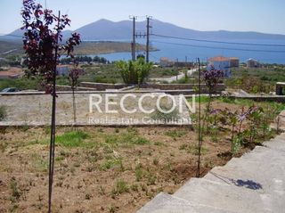 Οικόπεδο 600 τ.μ. για πώληση, Εύβοια, Ταμύνες-thumb-3