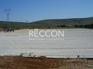 Οικόπεδο 600 τ.μ. για πώληση, Εύβοια, Ταμύνες-thumb-9