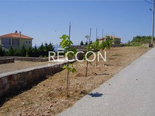Οικόπεδο 600 τ.μ. για πώληση, Εύβοια, Ταμύνες-thumb-4