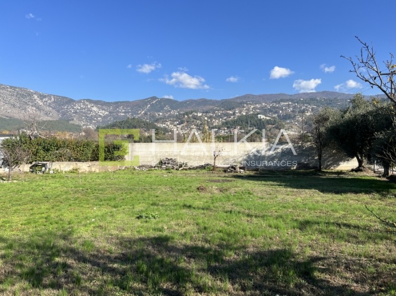 Οικόπεδο 302 τ.μ. πρός πώληση, Μαγνησία, Βόλος