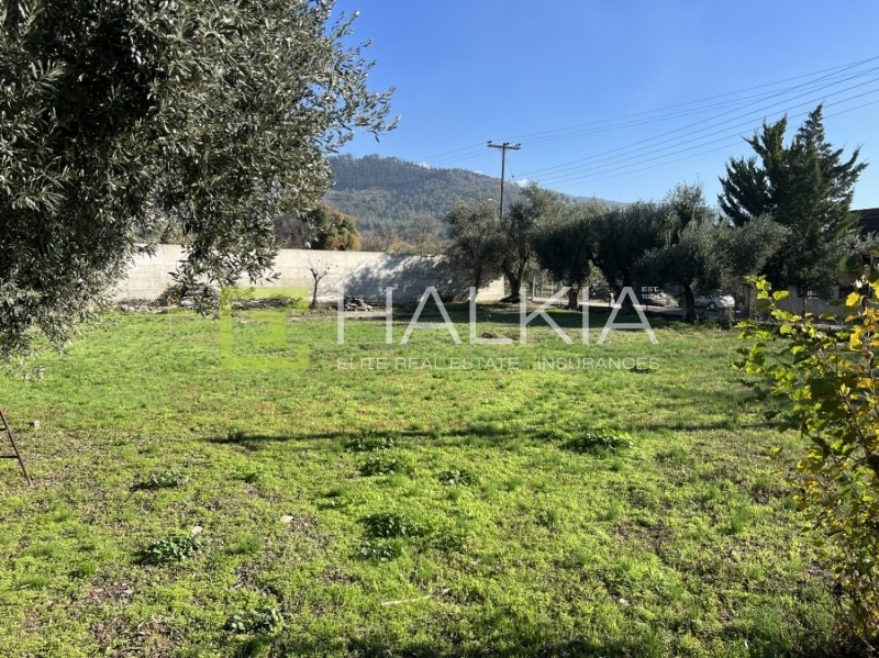Οικόπεδο 302 τ.μ. πρός πώληση, Μαγνησία, Βόλος