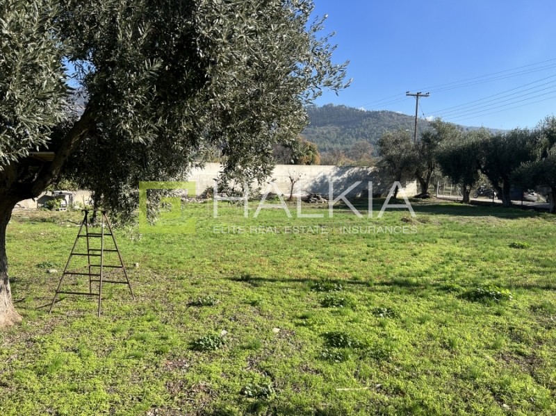 Οικόπεδο 302 τ.μ. πρός πώληση, Μαγνησία, Βόλος